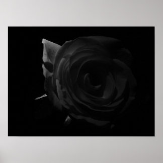 Dunkle Rose Poster