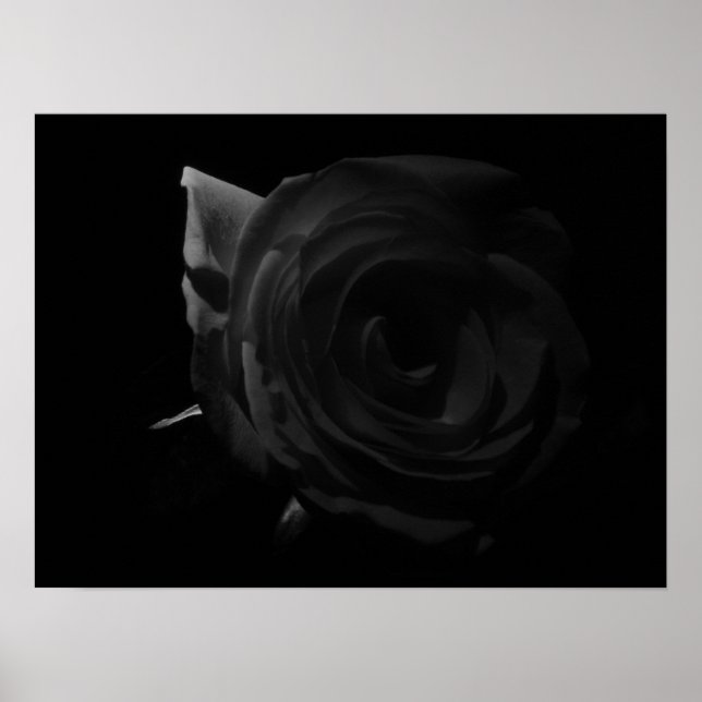 Dunkle Rose Poster (Vorne)