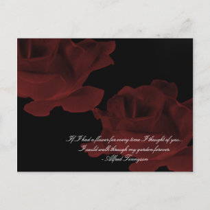 Dunkle Rote Rose Postkarte