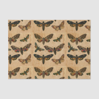 Dunkle Schmetterlinge Vintage gefärbtes Papier Dec