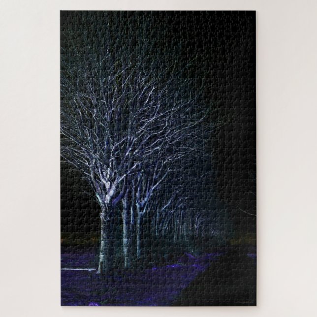 Dunkle Seite 10 20x30 1014pc jpcnm Puzzle (Vertikal)