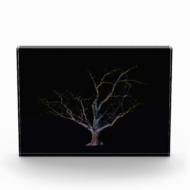 Dunkle Seite 2 pbcna Fotoblock (Vorderseite)