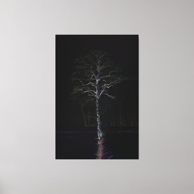 Dunkle Seite 3 40 x 60 (100 x 150 cm) Waccnm Leinwanddruck (Vorderseite)