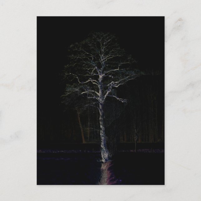 Dunkle Seite 3 pccnm Postkarte (Vorderseite)