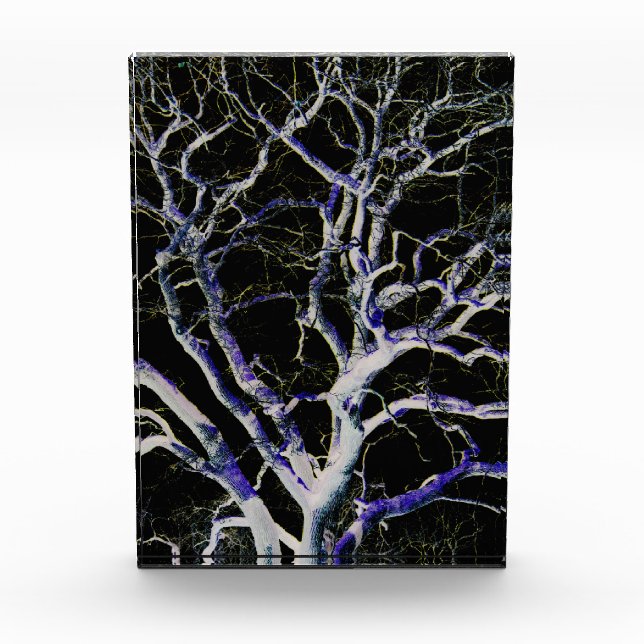 Dunkle Seite 5 pbcnm Fotoblock (Vorderseite)