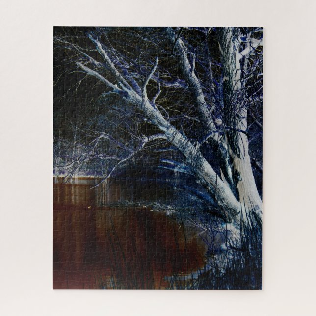 Dunkle Seite 7 16x20 520pc jpcnm Puzzle (Vertikal)