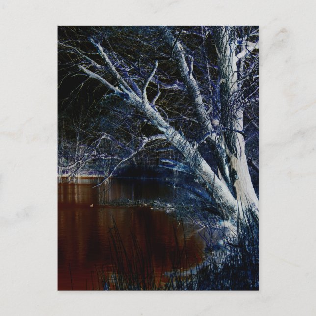 Dunkle Seite 7 pccnm Postkarte (Vorderseite)