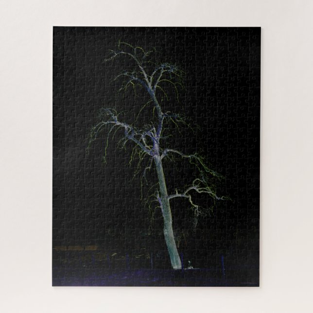 Dunkle Seite 8 16x20 520pc jpcn Puzzle (Vertikal)