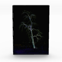 Dunkle Seite 8 pbcna