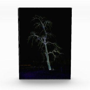 Dunkle Seite 8 pbcna Fotoblock