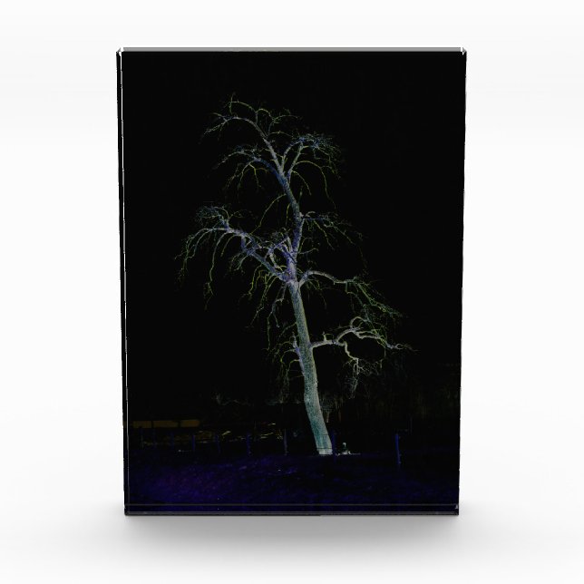 Dunkle Seite 8 pbcna Fotoblock (Vorderseite)