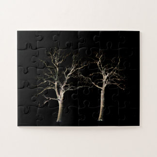 Dunkle Seite 9 11x14 30pc jpcna Puzzle