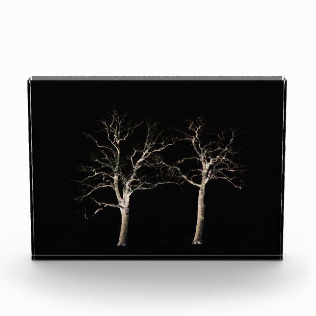 Dunkle Seite 9 pbcnm Fotoblock (Vorderseite)