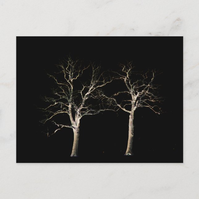 Dunkle Seite 9 pccna Postkarte (Vorderseite)