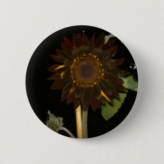Dunkle Sonnenblume nachts Button (Vorderseite)