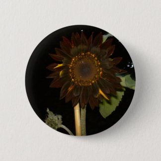 Dunkle Sonnenblume nachts Button