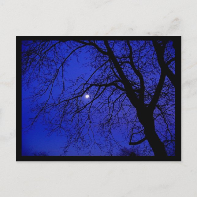 Dunkler Baum Postkarte (Vorderseite)