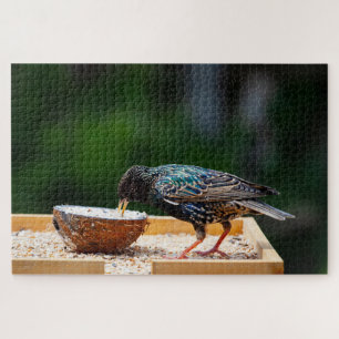Dunkler Feathered Bird isst Kokosnuss Puzzle