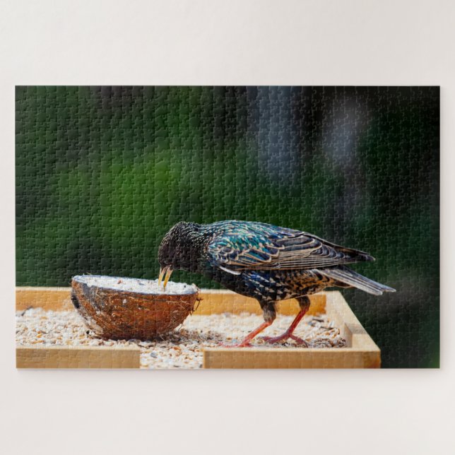 Dunkler Feathered Bird isst Kokosnuss Puzzle (Horizontal)