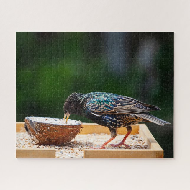 Dunkler Feathered Bird isst Kokosnuss Puzzle (Horizontal)