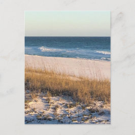 Dunkler Flieder Postkarte