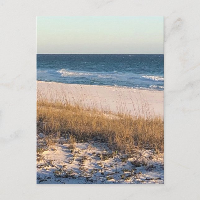 Dunkler Flieder Postkarte (Vorderseite)