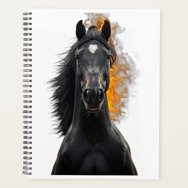 Dunkler Hengst Inferno Planer (Vorderseite)