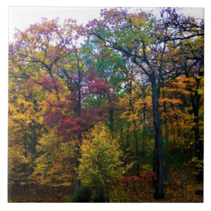 Dunkler Herbstwald Fliese