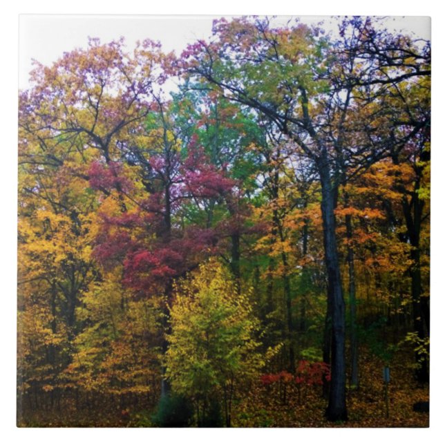 Dunkler Herbstwald Fliese (Vorderseite)