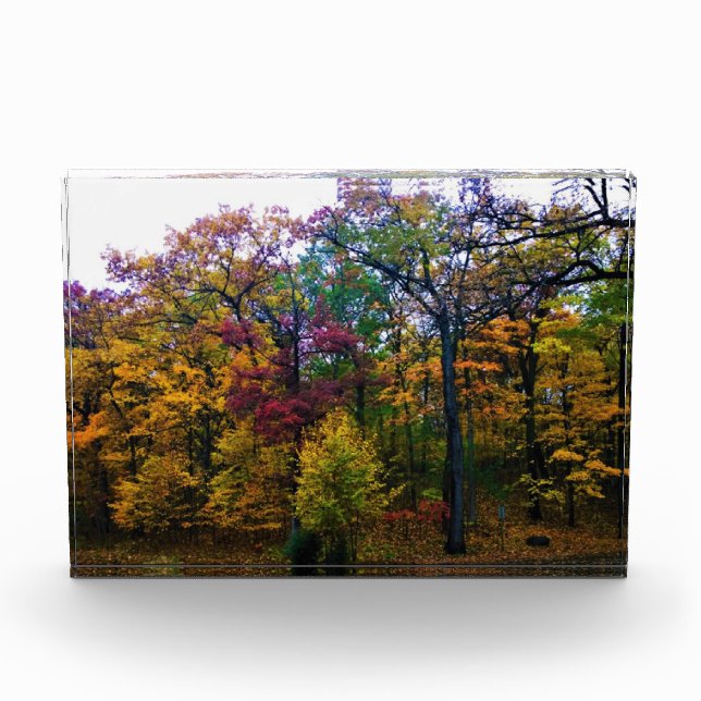Dunkler Herbstwald Fotoblock (Vorderseite)