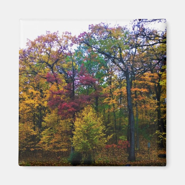 Dunkler Herbstwald Magnet (Vorne)
