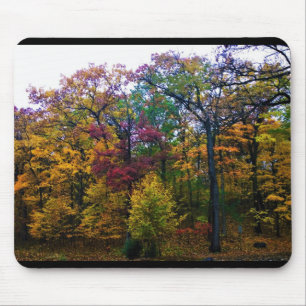 Dunkler Herbstwald Mousepad