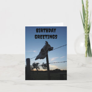 Dunkler Kuhschädel Karte