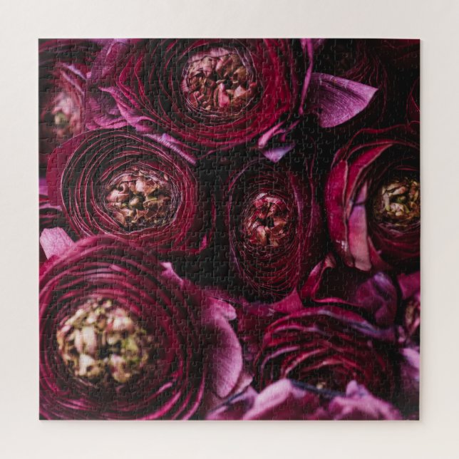 Dunkler Lila Ranunculus, blühend Nah-up. Puzzle (Vertikal)