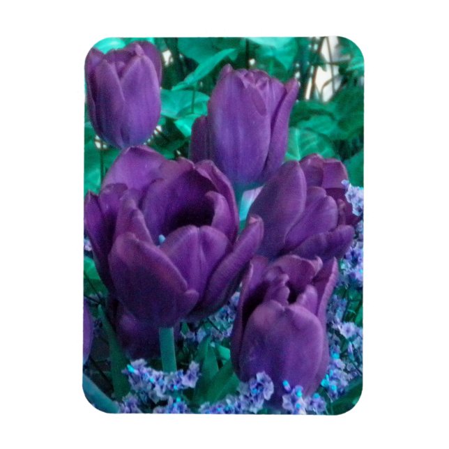 Dunkler Lila Tulips-Kühlschrankmagnet Magnet (Vertikal)