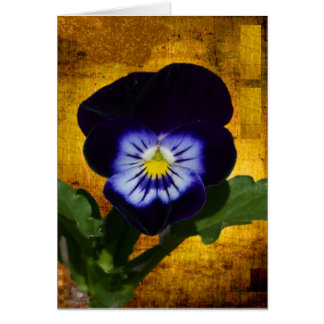 Dunkler Pansy auf Gold 1