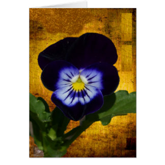 Dunkler Pansy auf Gold 1