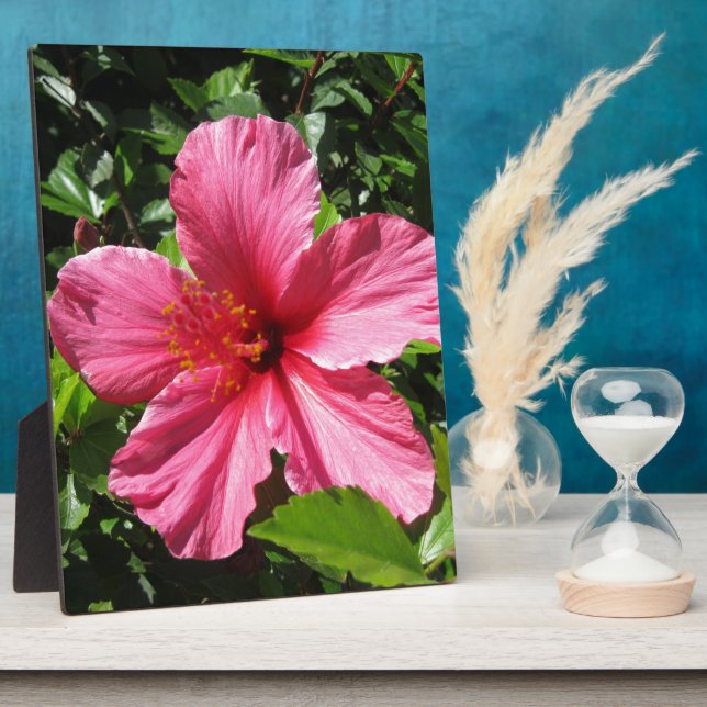 Dunkler rosa Hibiskus Fotoplatte (Seite)