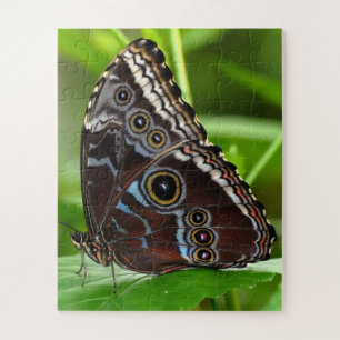 Dunkler Schmetterling Sitzen auf Blätter in der Na Puzzle
