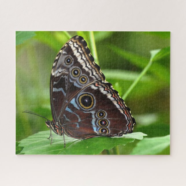 Dunkler Schmetterling sitzt auf der Linke Puzzle (Horizontal)