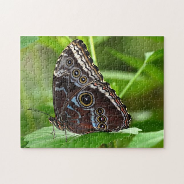 Dunkler Schmetterling sitzt auf der Linke Puzzle (Horizontal)