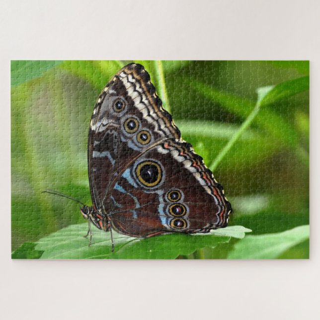 Dunkler Schmetterling sitzt auf der Linke Puzzle (Horizontal)