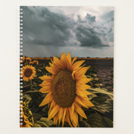 Dunkler Sturm Sonnenblumen Planner Planer