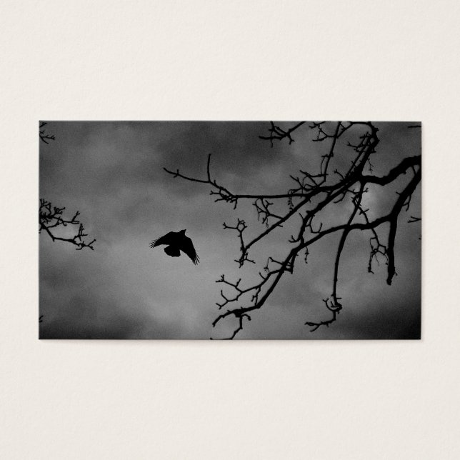 Dunkler Vogel im Flug (Vorderseite)
