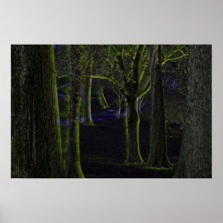 Dunkler Wald Poster