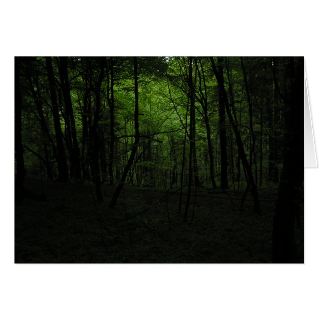 Dunkler Wald verlassen (Vorderseite (Horizontal))