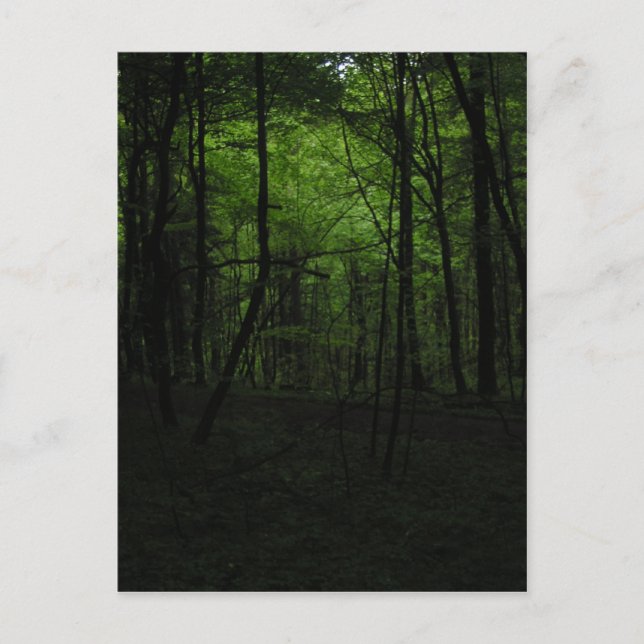 Dunkler Wald verlassen Postkarte (Vorderseite)