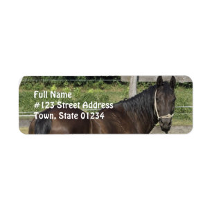 Dunkles Buchtthoroughbred-Adressen-Etikett