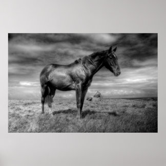 Dunkles Horse Poster