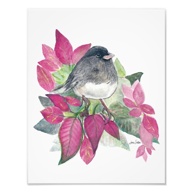 Dunkles Mit Augen Junco Watercolor Foto drucken (Vorne)